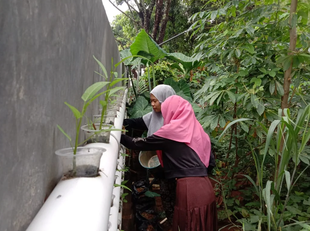 Kegiatan Pertanian